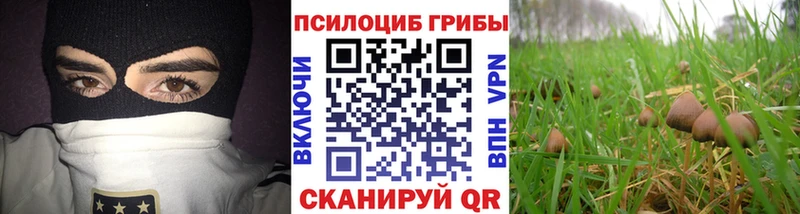 Галлюциногенные грибы прущие грибы  Фрязино 